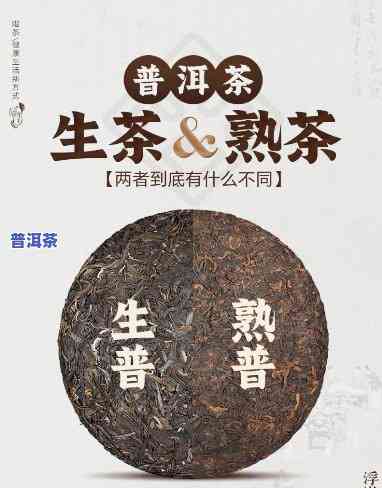 生熟普洱茶煮饮教程：图片 视频全攻略