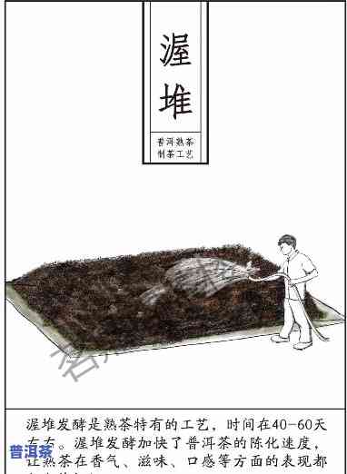 生熟普洱茶更佳煮法教程：视频 图文详解