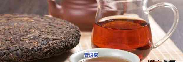 生熟普洱茶的冲泡方法详解：哪种更好？视频教学