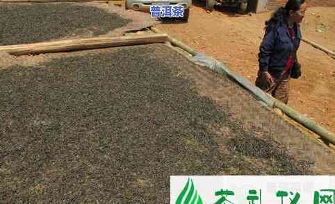 普洱茶板加工厂家排名榜单，揭秘普洱茶板加工厂家排名榜单，一探究竟！