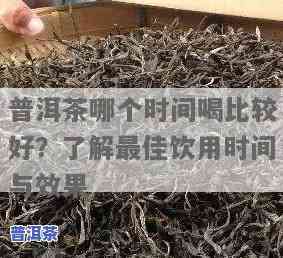 普洱茶要闷多久再倒出来喝？正确方法与更佳时间解析