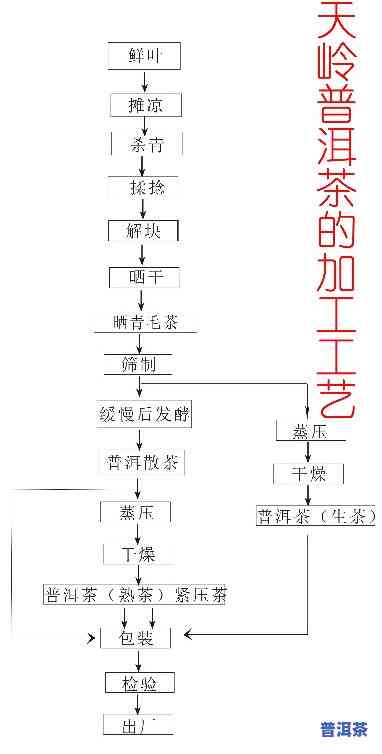 普洱茶熟茶制作流程视频教程，揭秘普洱茶熟茶的制作过程，全程视频教程解析！