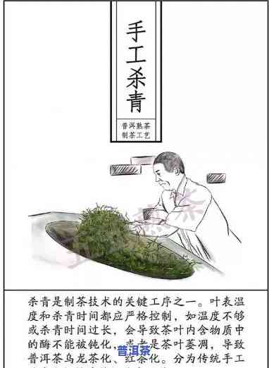 普洱茶熟茶制作流程视频教程，揭秘普洱茶熟茶的制作过程，全程视频教程解析！