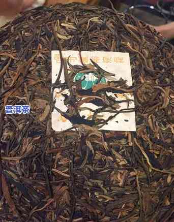 大白菜普洱茶，品味健康生活：探索大白菜普洱茶的特别魅力