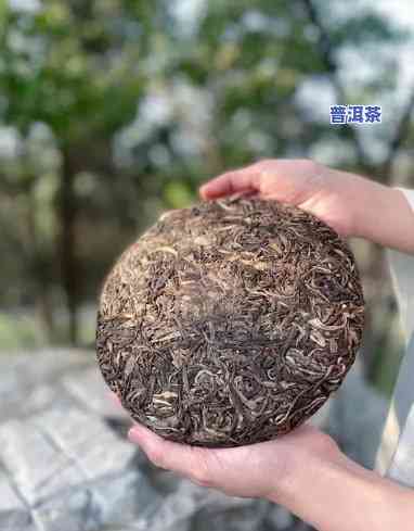 百年普洱茶的功效与作用全解析：揭秘其特别功效与饮用禁忌