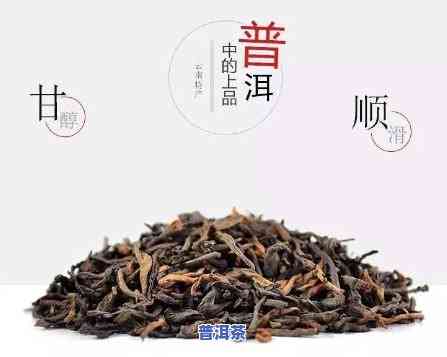 熟普洱茶每天适宜饮用量：怎样依据需求调整？