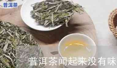 普洱茶闻起来不存在香味：正常吗？起因解析