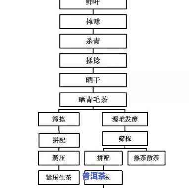 普洱茶炒作工艺流程图全解析