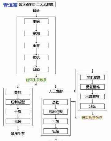 普洱茶炒作工艺流程图全解析