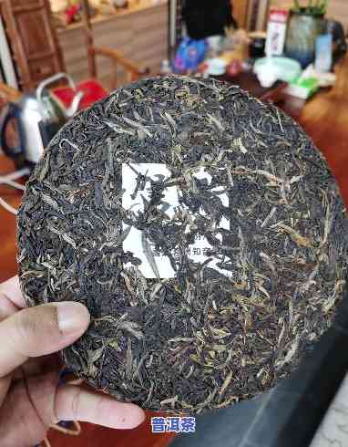 南峤普洱茶特点：探究南峤茶厂普洱品质与南峤山普洱特色