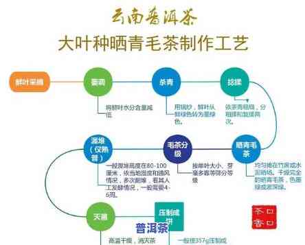 茶和普洱茶的关系图-茶和普洱茶的关系图片