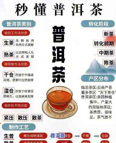 茶和普洱茶的关系图-茶和普洱茶的关系图片