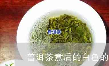 普洱茶里面有白色的石头-普洱茶里面有白色的石头是什么