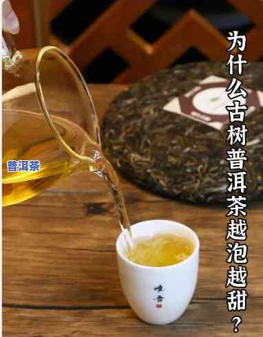 普洱茶怎么增甜的呢视频-普洱茶怎么增甜的呢视频讲解