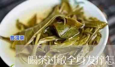 喝普洱茶全身过敏是什么情况，普洱茶引发全身过敏反应，该怎样应对？