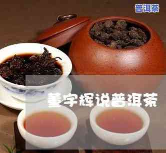 董宇辉卖的普洱茶有几款品种，探寻董宇辉普洱茶品种：多种口味等你来尝！