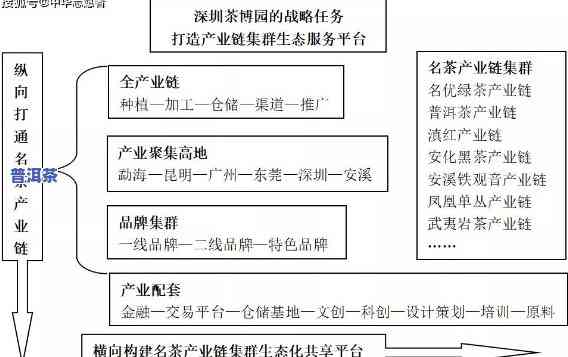 普洱茶仓储发展趋势图解视频，探索普洱茶仓储的未来：趋势与解析视频