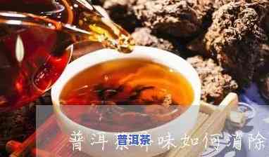 普洱吸附异味怎么办，怎样解决普洱茶吸附异味疑问？