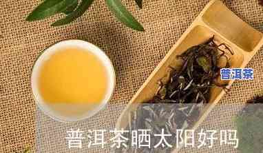 普洱茶是不是需要晒太阳？起因解析及冬季适用性探讨