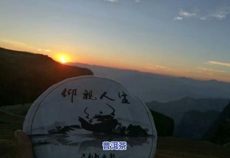 普洱有味怎么办，「普洱有味怎么办」：茶叶品尝中的小技巧