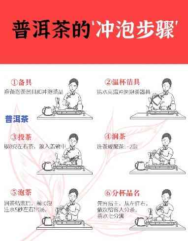 怎样用烧水壶泡出美味普洱茶？看图学起来！