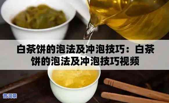 普洱茶白茶茶饼泡法视频教程