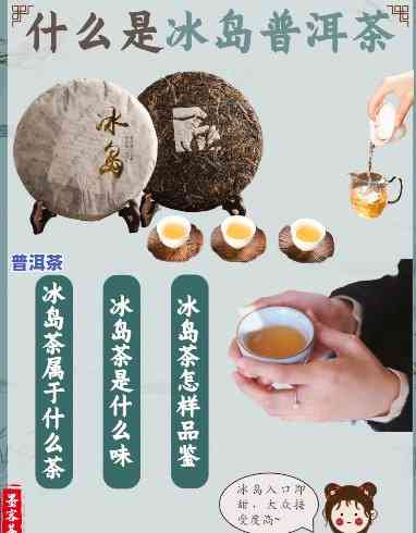 普洱茶冰岛属于什么茶种？探讨其类别归属