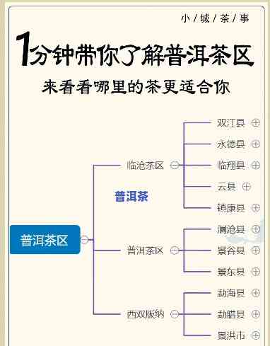 普洱一线排行榜-普洱二线