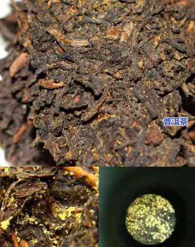 深入熟悉：黑茶与熟普洱茶的区别