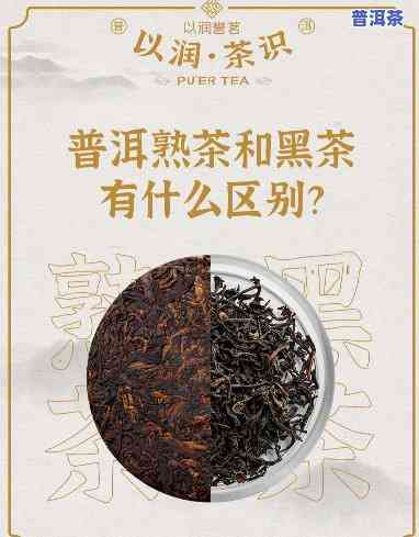 深入熟悉：黑茶与熟普洱茶的区别