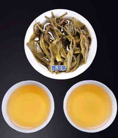 厂家直供普洱茶怎么选好-厂家直供普洱茶怎么选好的