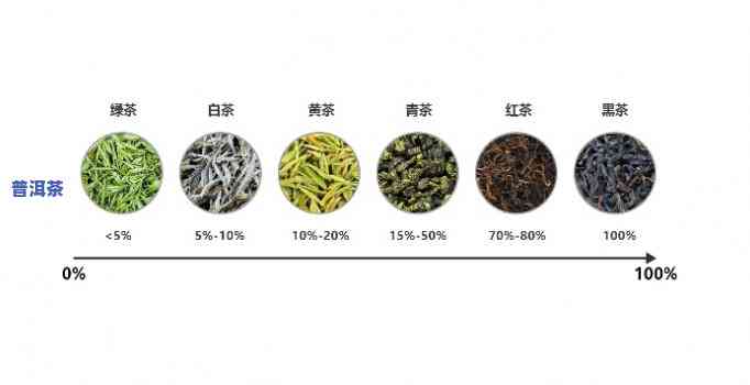 龙井茶普洱茶类别是什么意思，探究茶叶种类：龙井茶与普洱茶的分类及特点