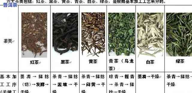 龙井茶普洱茶类别是什么，探秘茶叶世界：龙井茶与普洱茶的类别解析