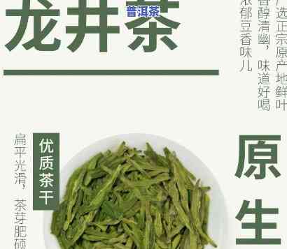 龙井茶普洱茶类别怎么选的，怎样选择龙井茶和普洱茶？