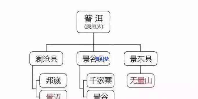 曼洒普洱茶：探索其特别的口感与魅力