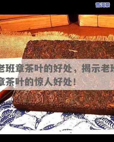 老班章茶叶的好处：探究其功效与作用