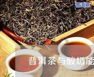 普洱茶加奶能不能喝了呢，普洱茶加奶：能喝吗？