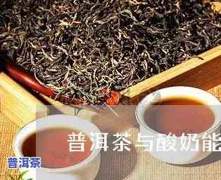 普洱茶加奶能不能喝了呢-普洱茶加奶能不能喝了呢女生