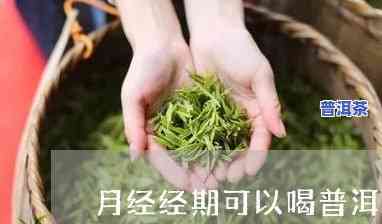 例假期间能喝喝普洱茶吗女生，女生例假期间是不是适合饮用普洱茶？