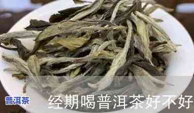 例假期间能否喝普洱茶？专家解析月经期饮茶作用