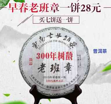 老班章300年树龄的茶怎么样？探讨其品质与种类