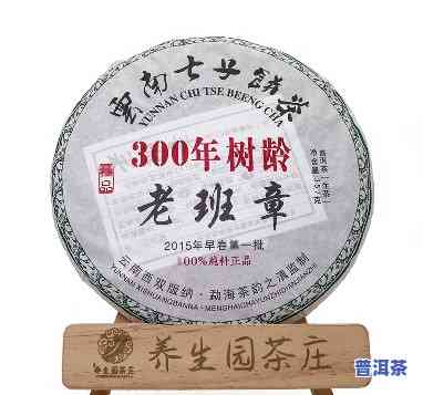 老班章300年树龄-老班章300年树龄的茶怎么样