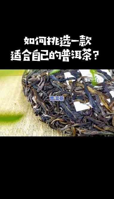 普洱茶放了几年还能喝吗？是不是有？——上的讨论