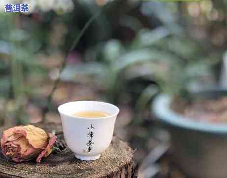 熟普洱散茶怎么保存-熟普洱散茶怎么保存更好