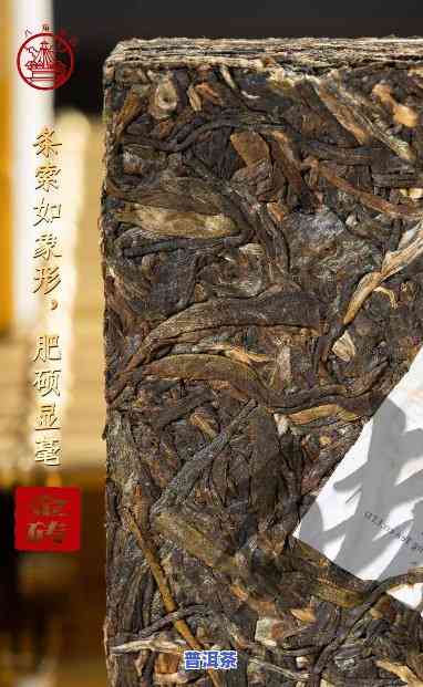 中茶普洱茶怎样存放好喝一点？关键技巧大揭秘！