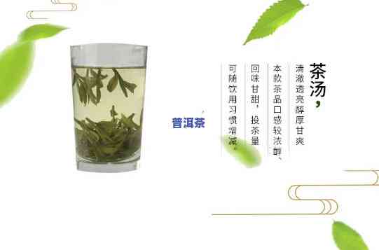 绿茶和普洱茶功效哪个好-绿茶和普洱茶功效哪个好一点