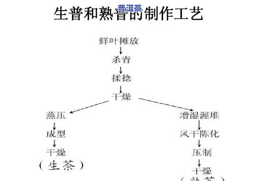 熟普洱的制作过程及其原料解析