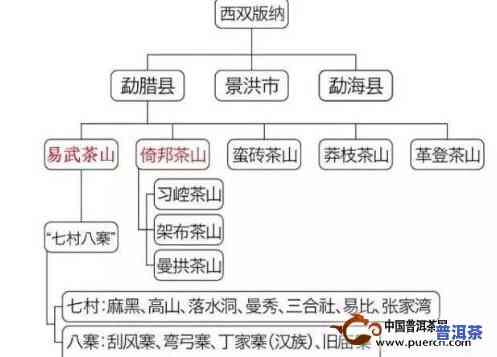 普洱茶产区排名：全国前十榜单一览