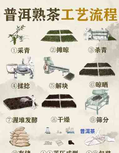 熟普洱的制作方法、步骤与所需配料全揭秘