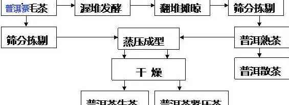 熟普洱的制作方法、步骤与所需配料全揭秘